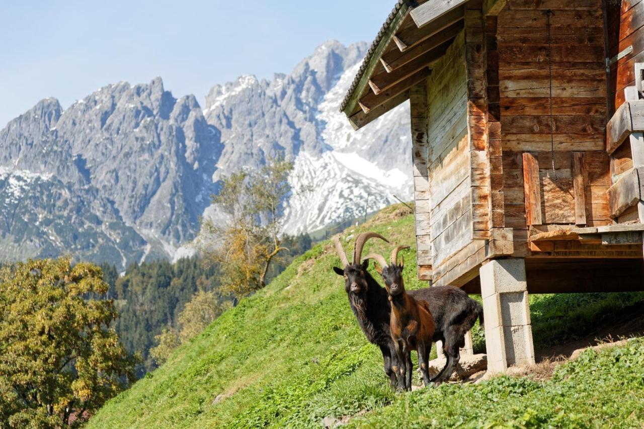 Gut Stein Panoramalodge Mühlbach am Hochkönig Esterno foto